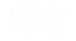 GT Logo.png